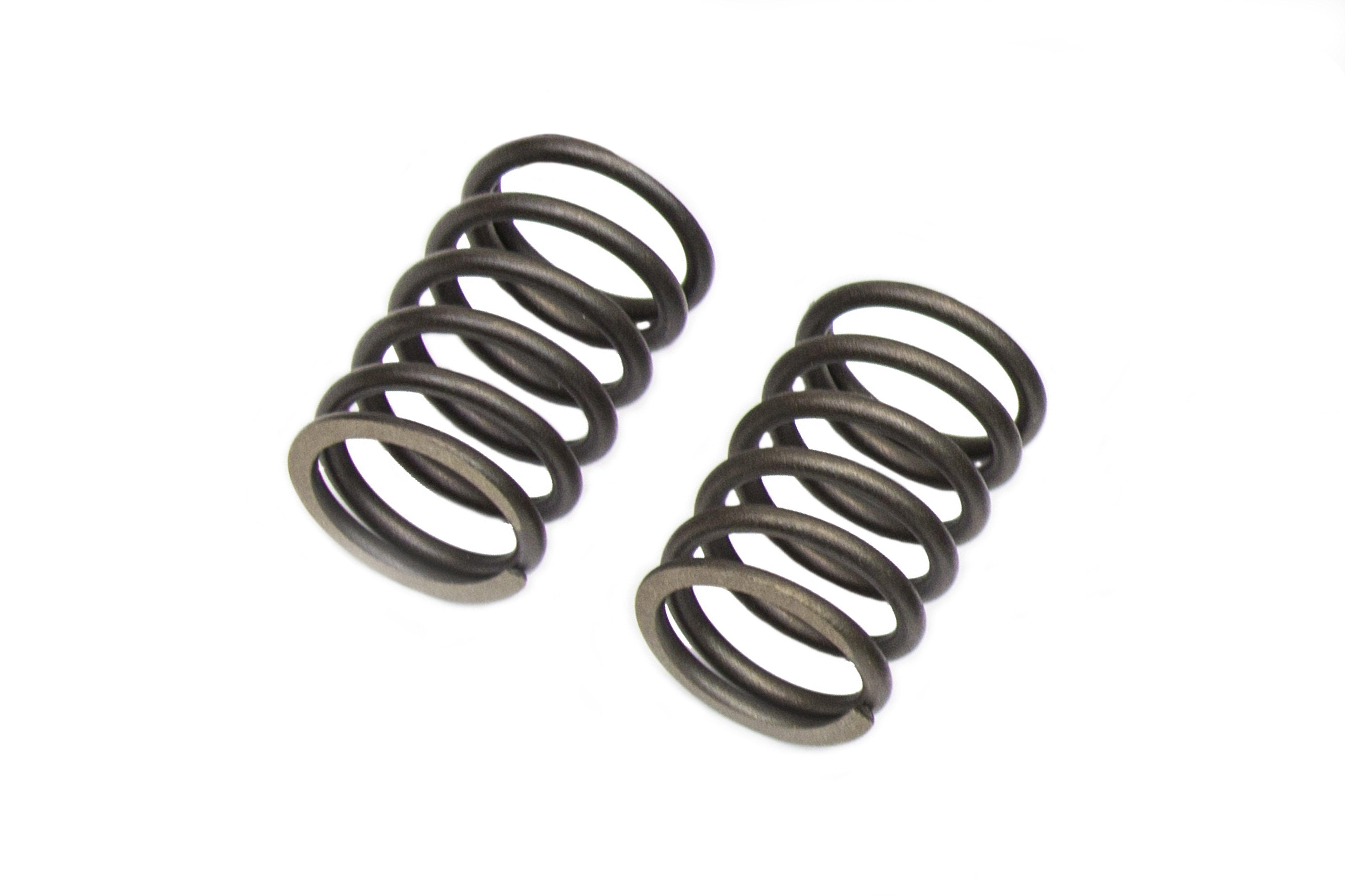Valve Spring Kit fits Honda GX610, GX620, GX670, GXV620, GXV670