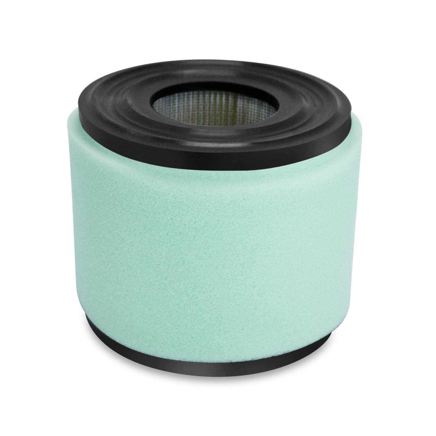 Air Filter fits Briggs & Stratton 290400, 302400, 303400, 326400
