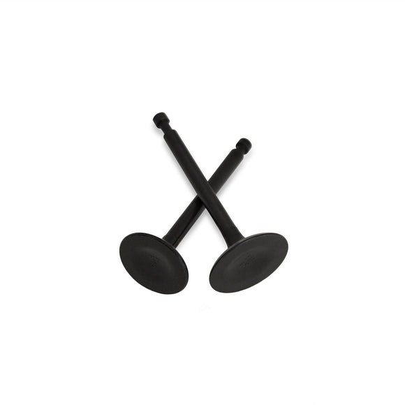 Intake & Exhaust Valve Set