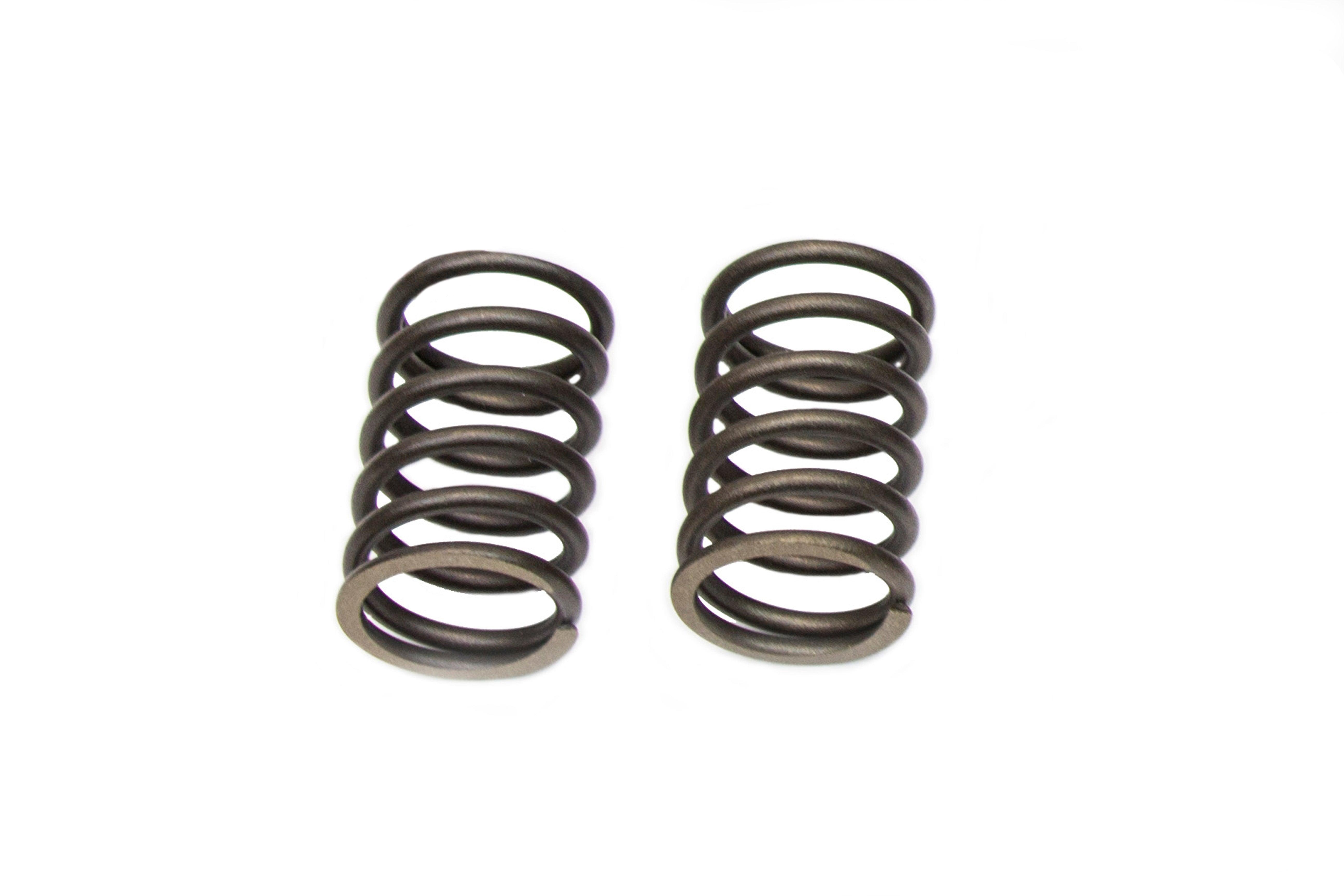 Valve Spring Set