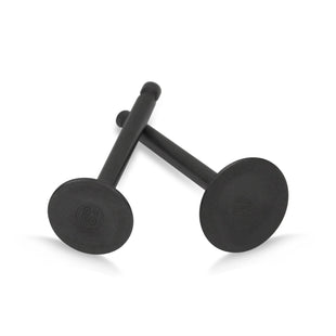 Intake & Exhaust Valve Set