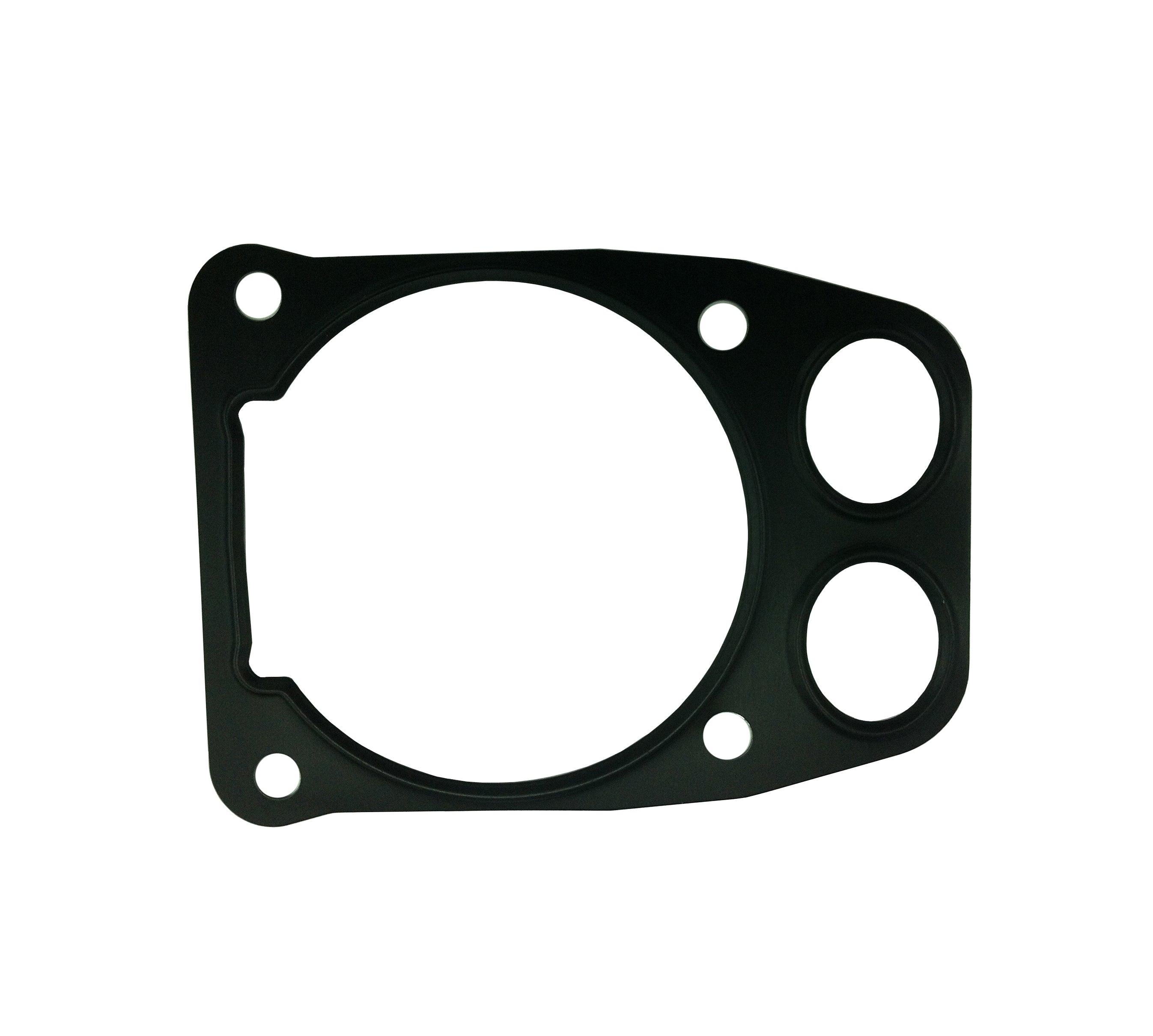 Cylinder Base Gasket