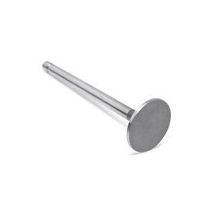Exhaust Valve