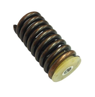 Annular Buffer Spring