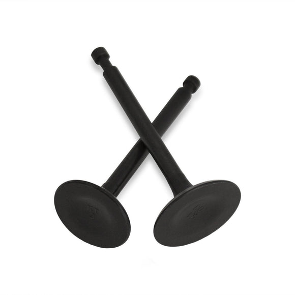 Intake & Exhaust Valve Set