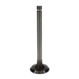 Exhaust Valve